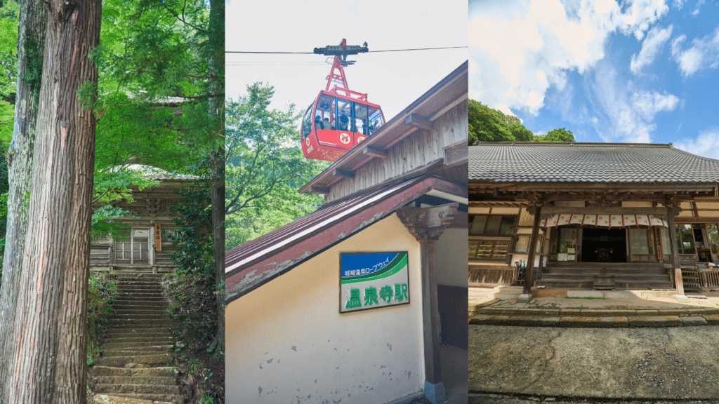 城崎温泉の紅葉はいつ見頃？ ― 温泉寺とロープウェイで出会う、湯の町の晩秋 